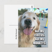 Golden Retriever niet mijn Circus Pools Proverb Briefkaart (Voorkant / Achterkant)
