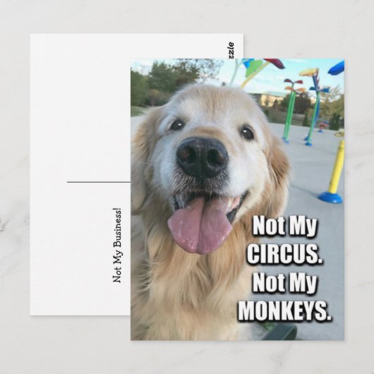 Golden Retriever niet mijn Circus Pools Proverb Briefkaart (Voorkant / Achterkant)