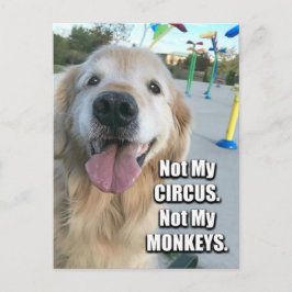 Golden Retriever niet mijn Circus Pools Proverb Briefkaart