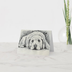 Golden Retriever Note Cards Notitiekaartje