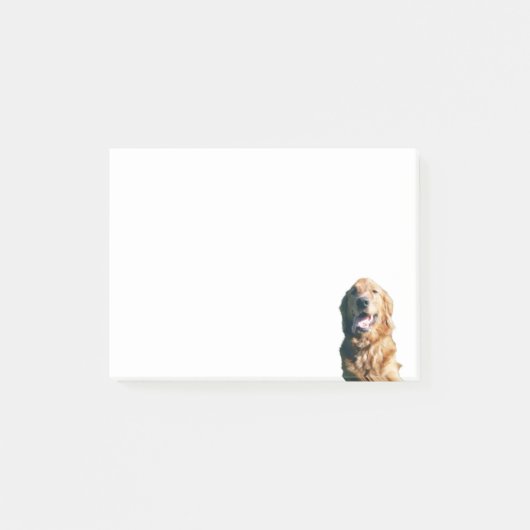 Golden Retriever Note Pad (Voorkant)