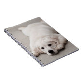 Golden Retriever Note Pad Notitieboek (Rechterzijde)