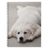 Golden Retriever Note Pad Notitieboek (Voorkant)