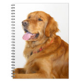 Golden Retriever Notitieboek (Voorkant)