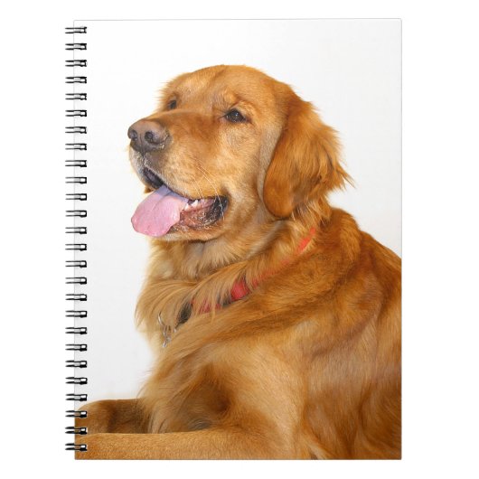 Golden Retriever Notitieboek (Voorkant)