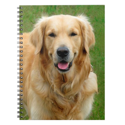 Golden Retriever Notitieboek (Voorkant)