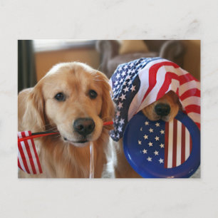 Golden Retriever Onafhankelijkheidsdag Briefkaart
