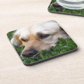 Golden Retriever Onderzetters (Linkerzijde)