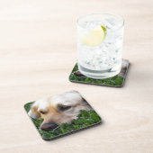 Golden Retriever Onderzetters (Rechterzijde)