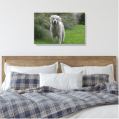 Golden Retriever op 2 Canvas Afdruk (Insitu (Slaapkamer))