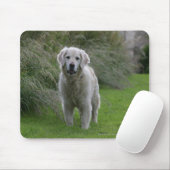 Golden Retriever op 2 Muismat (Met muis)