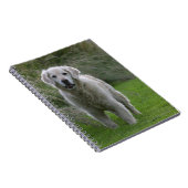 Golden Retriever op 2 Notitieboek (Rechterzijde)