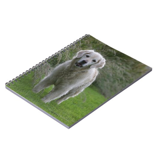 Golden Retriever op 2 Notitieboek (Linkerzijde)