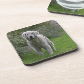 Golden Retriever op 2 Onderzetter (Linkerzijde)