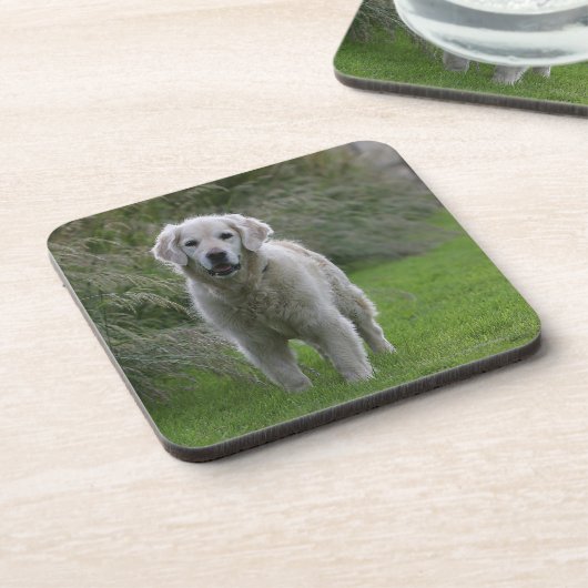 Golden Retriever op 2 Onderzetter (Linkerzijde)