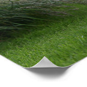 Golden Retriever op 2 Poster (Hoek)