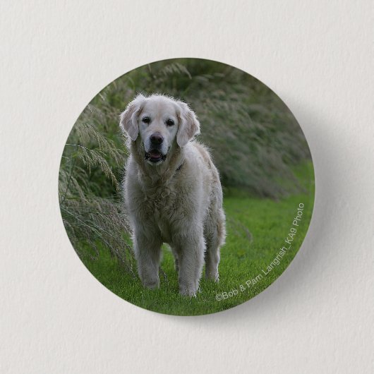 Golden Retriever op 2 Ronde Button 5,7 Cm (Voorkant)