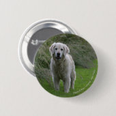 Golden Retriever op 2 Ronde Button 5,7 Cm (Voorkant /achterkant)