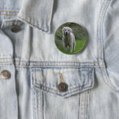 Golden Retriever op 2 Ronde Button 5,7 Cm (In situ)