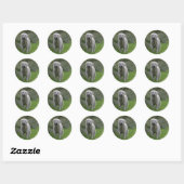 Golden Retriever op 2 Ronde Sticker (Vel)
