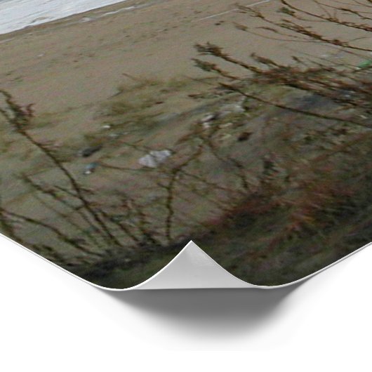 Golden Retriever op band print (Hoek)