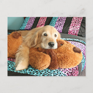 Golden Retriever op Bed Miss You Briefkaart