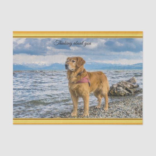Golden Retriever op de blauwe oceaan rotsachtig Tissuepapier (Voorkant)