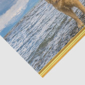 Golden Retriever op de blauwe oceaan rotsachtig Tissuepapier (Detail)