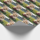 Golden Retriever op een Football Cadeaupapier (Hoek)