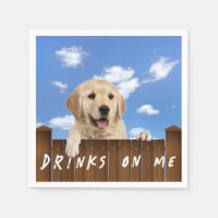 Golden Retriever op een hek