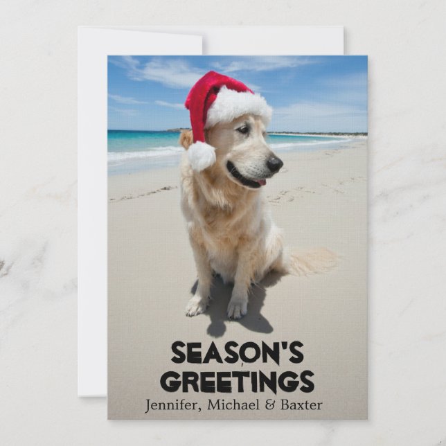 Golden Retriever op het ongerepte strand (Voorkant)