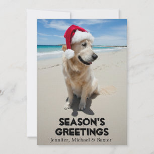 Golden Retriever op het ongerepte strand