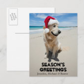 Golden Retriever op het ongerepte strand Briefkaart (Voorkant / Achterkant)