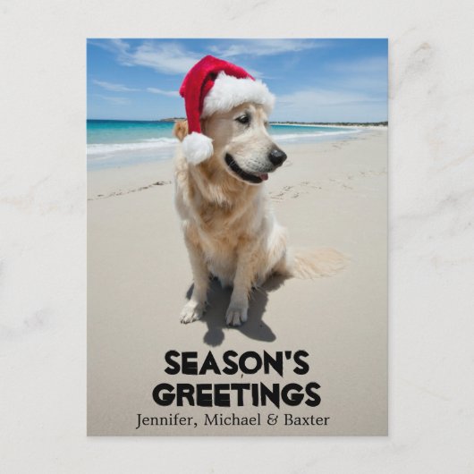 Golden Retriever op het ongerepte strand Briefkaart (Voorkant)