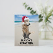 Golden Retriever op het ongerepte strand Briefkaart (Staand voorkant)