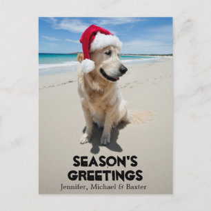 Golden Retriever op het ongerepte strand Briefkaart