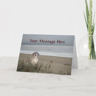 Golden Retriever op het strand Wenskaart Kaart