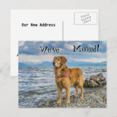 Golden Retriever op het strand We've Moved Aankondigingskaart (Voorkant / Achterkant)