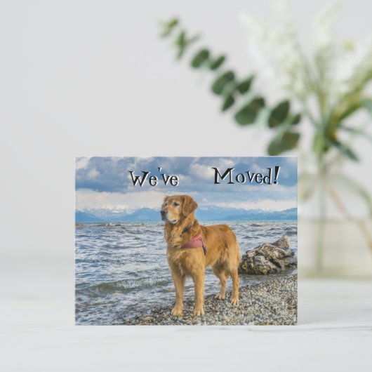 Golden Retriever op het strand We've Moved Aankondigingskaart (Staand voorkant)