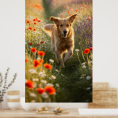 Golden Retriever op het zonnige gras Poster (Keuken)