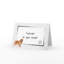 Golden Retriever op speldenhuisdier verliest sympa