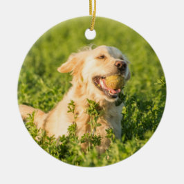 Golden Retriever Ornament