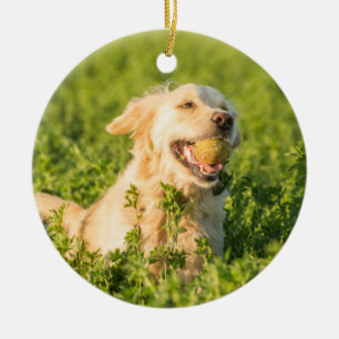 Golden Retriever Ornament