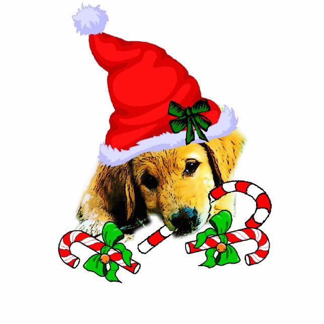 Golden Retriever Ornament met kerstcadeaus Fotobeeldje Ornament (Voorkant)