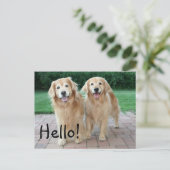 Golden Retriever Outdoor Hallo Briefkaart (Staand voorkant)