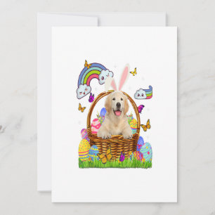Golden Retriever paaseieren Funny Cute Dog Aankondiging