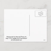 Golden Retriever Paaspuppy Kaarten & Cadeaus Feestdagenkaart (Achterkant)