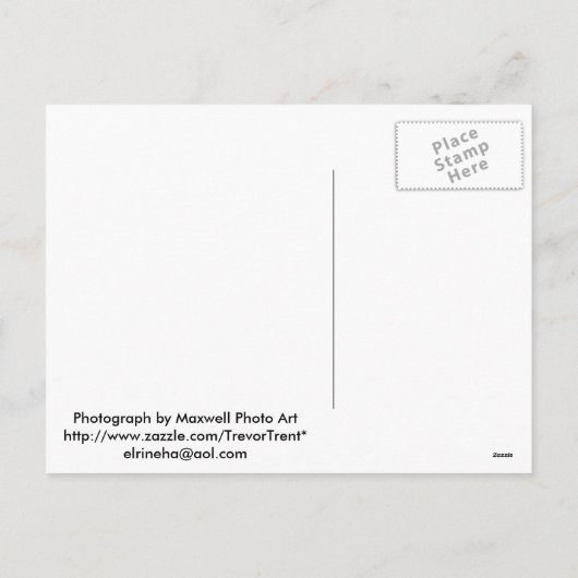 Golden Retriever Paaspuppy Kaarten & Cadeaus Feestdagenkaart (Achterkant)