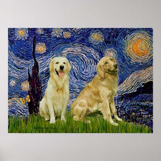 Golden Retriever Pair 3 - Sterrennacht Poster (Voorkant)
