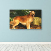 Golden Retriever Panting Canvas Afdruk (Insitu (Houten vloer))
